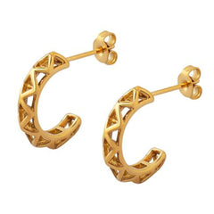 Earrings F096
