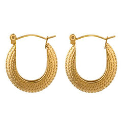 Earrings F098