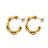 Earrings F122