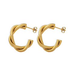 Earrings F122