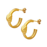Earrings F134