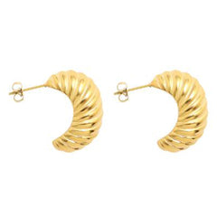 Earrings F177