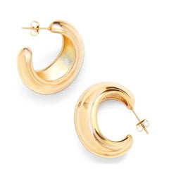 Earrings F229