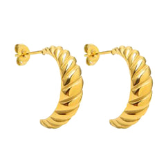 Earrings F426