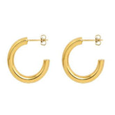 Earrings F469