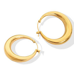 Earrings F575