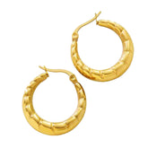 Earrings F576