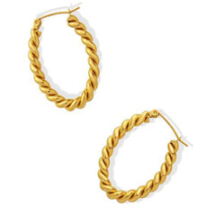 Earrings F588