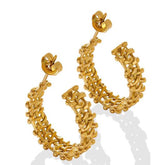 Earrings F634