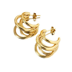 Earrings JE254