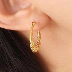 Earrings F013