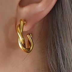 Earrings F122