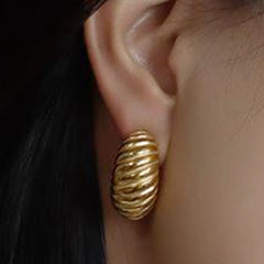 Earrings F177