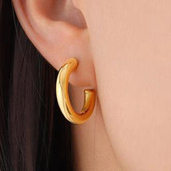 Earrings F469