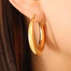 Earrings F575