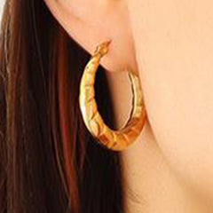 Earrings F576
