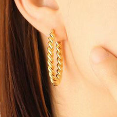Earrings F588