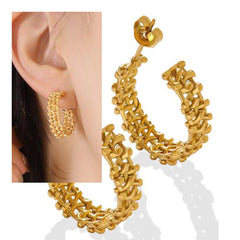 Earrings F634