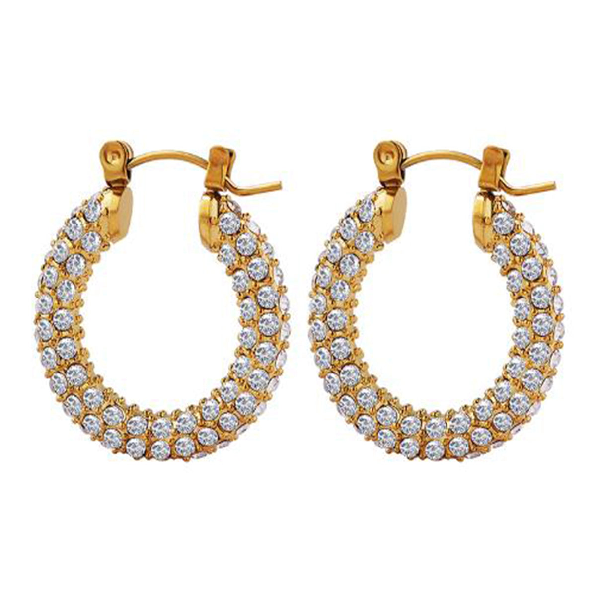 Earrings F083