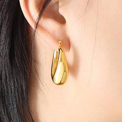 Earrings F040
