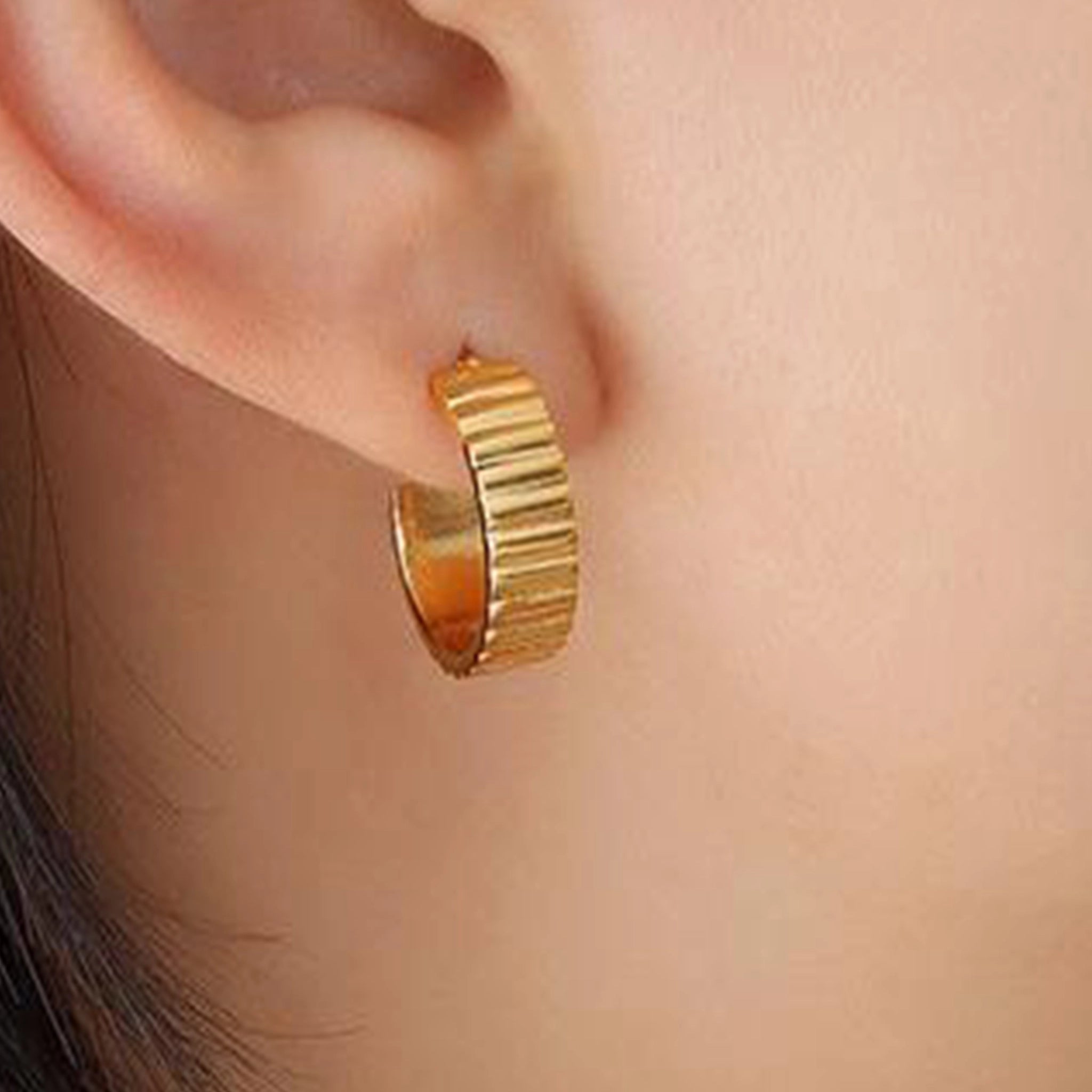 Earrings F063