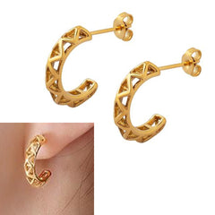 Earrings F096