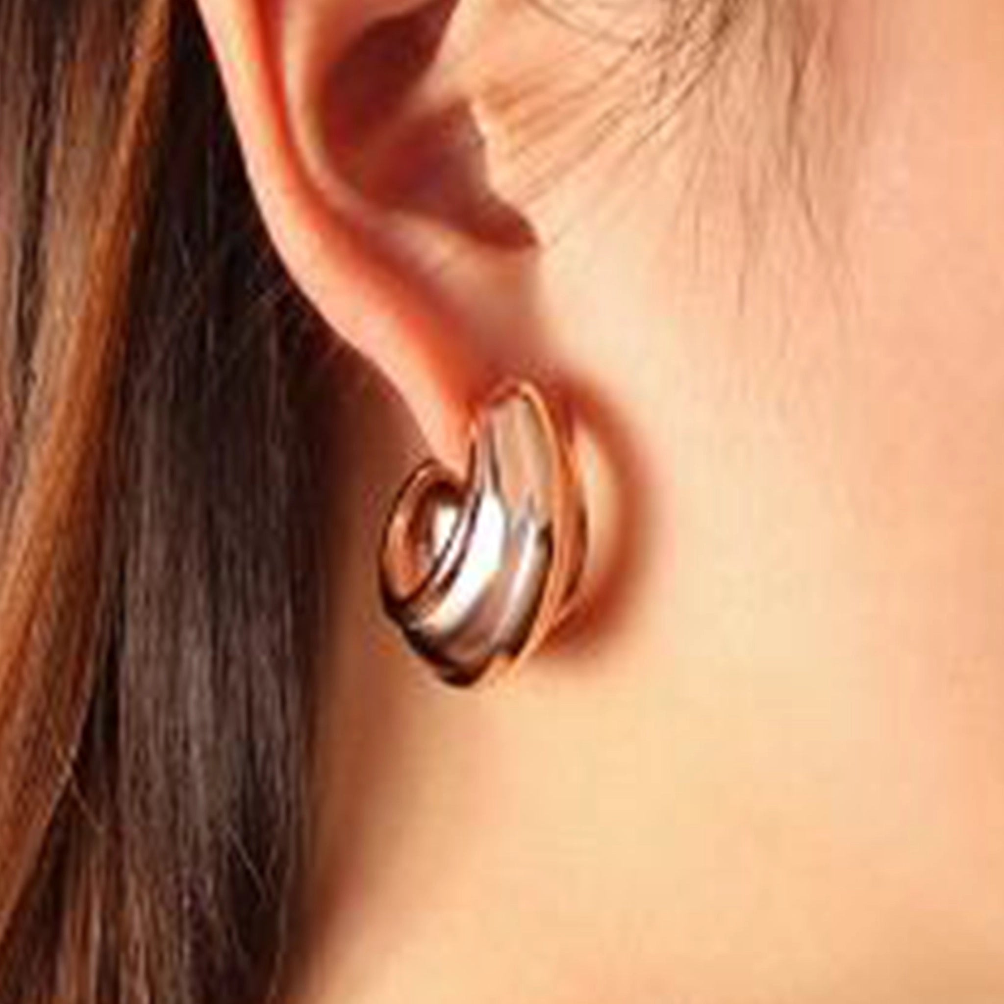 Earrings F229